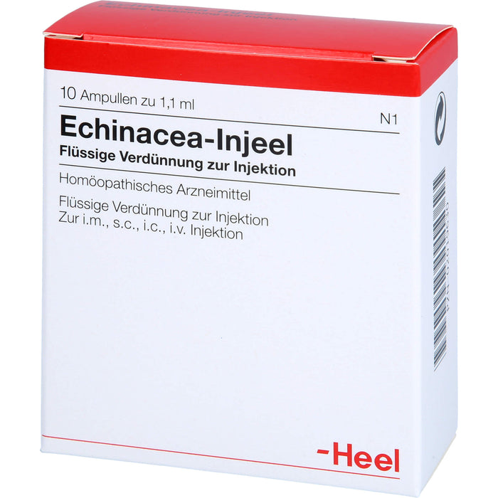 Echinacea-Injeel flüssige Verdünnung, 10 St. Ampullen