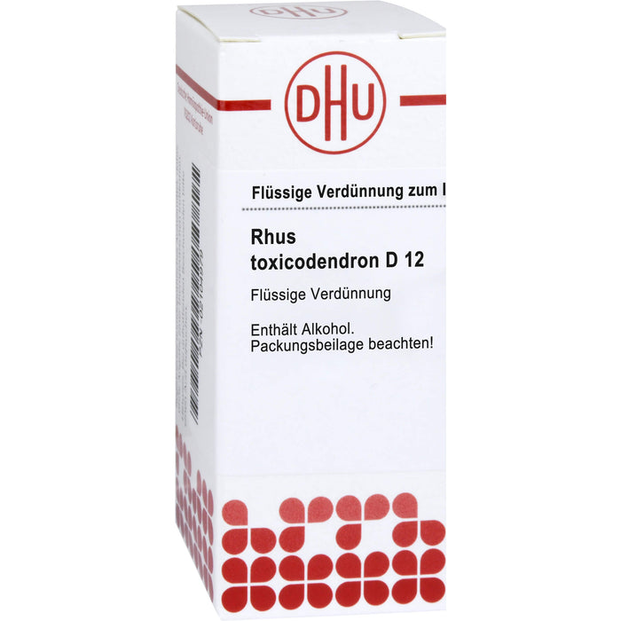 DHU Rhus toxicodendron D12 Dilution, 20 ml Lösung