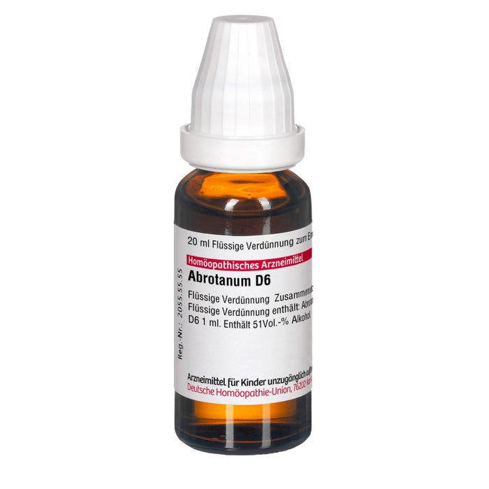 DHU Abrotanum D6 Dilution, 20 ml Lösung