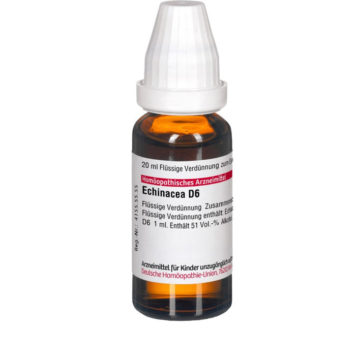 DHU Echinacea D6 Dilution, 20 ml Lösung