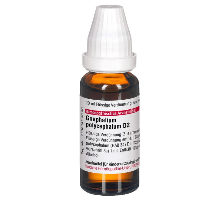 DHU Gnaphalium polycephalum D2 Dilution, 20 ml Lösung