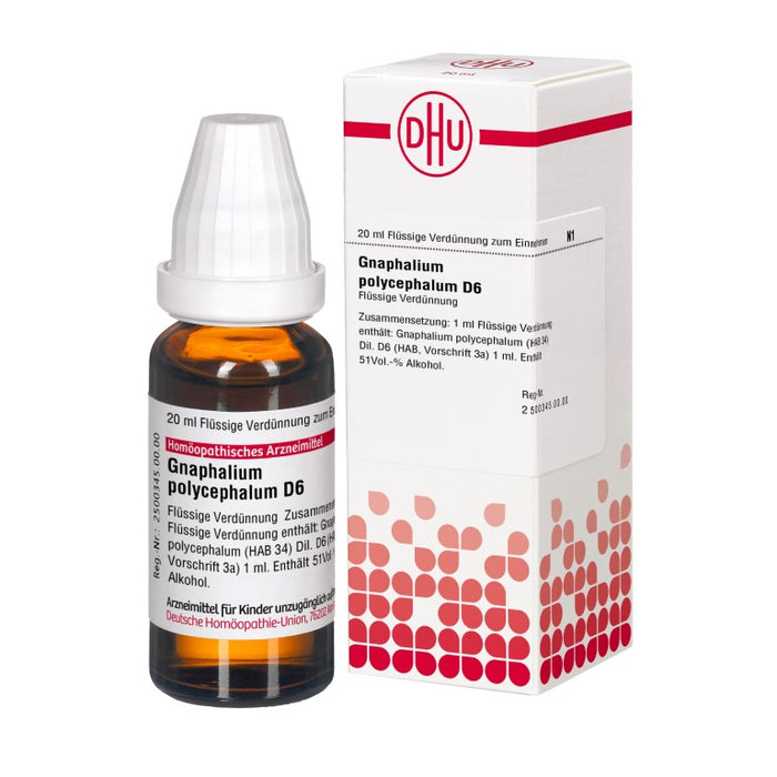 DHU Gnaphalium polycephalum D6 Dilution, 20 ml Lösung