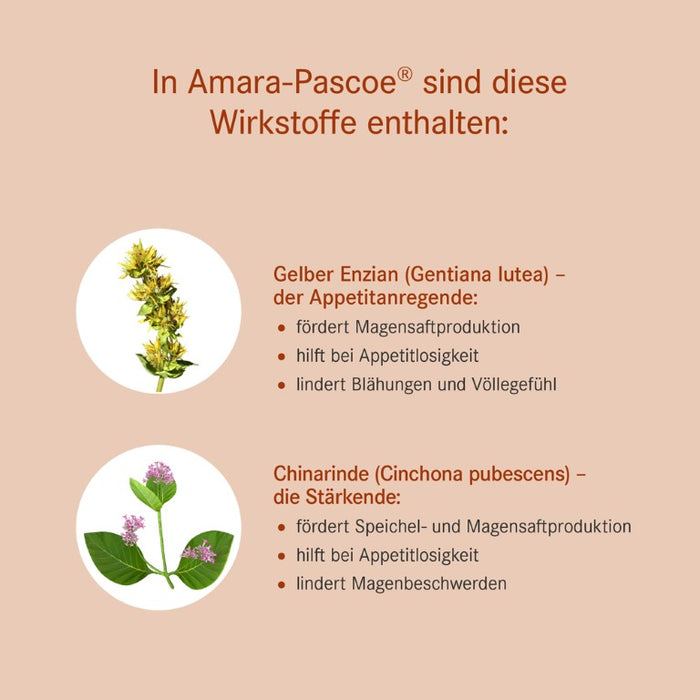 Amara-Pascoe Tinktur pflanzliches Magen-Darm-Mittel, 50 ml Solution