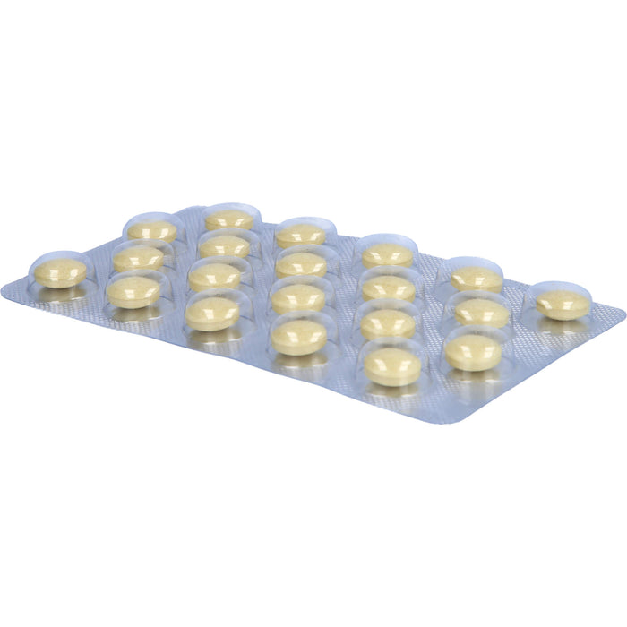 KaRazym Tabletten zur Beschleunigung der Regeneration und Unterstützung belasteter Gelenke, 200 pcs. Tablets