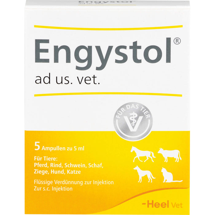 Engystol ad us. vet. Ampullen, 5 pcs. Ampoules