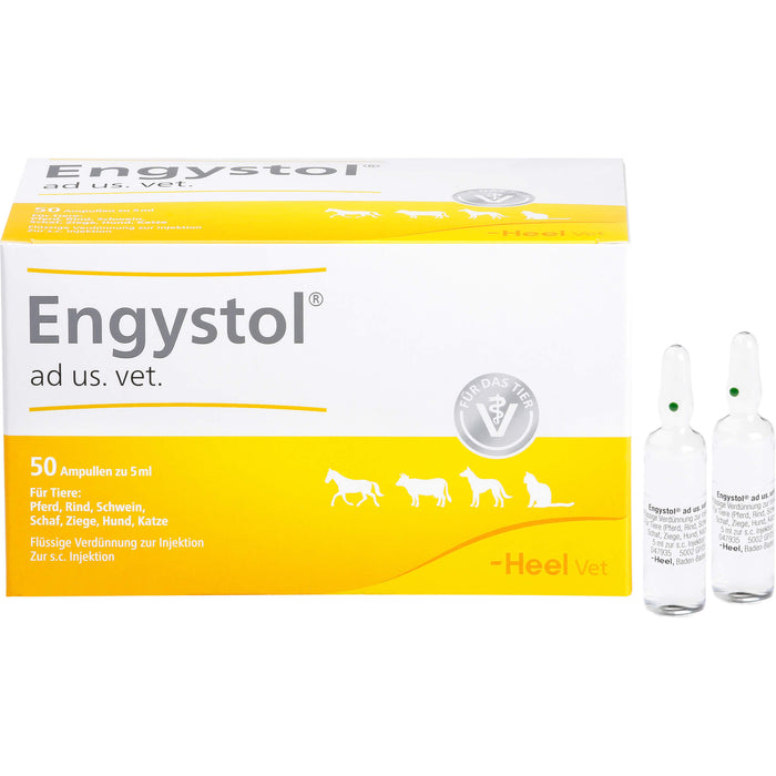 Engystol ad us. vet. Ampullen, 50 pc Ampoules