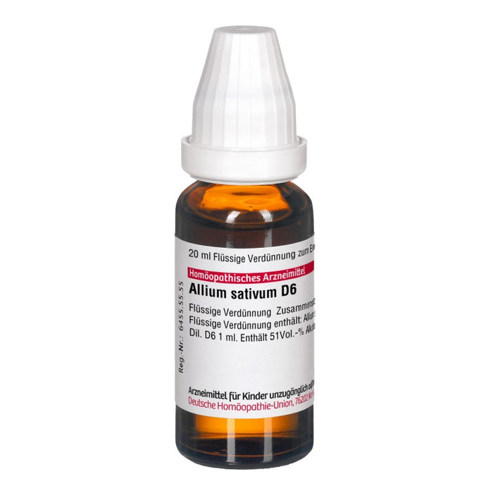 DHU Allium sativum D6 Dilution, 20 ml Lösung