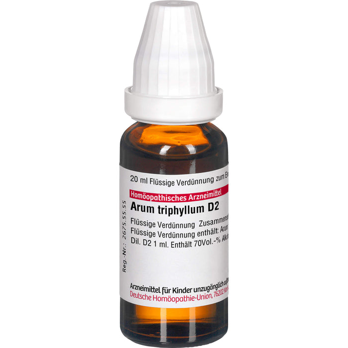 DHU Arum triphyllum D2 Dilution, 20 ml Lösung