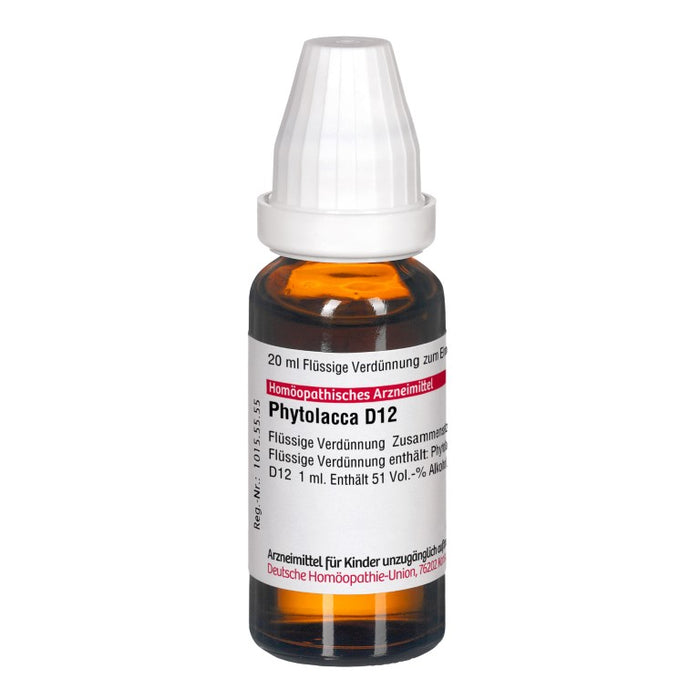 DHU Phytolacca D12 Dilution, 20 ml Lösung