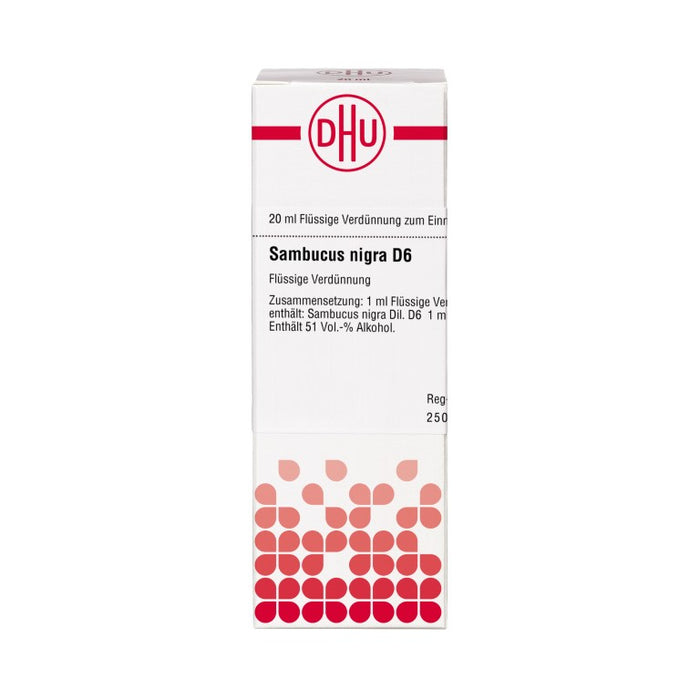 Sambucus nigra D6 DHU Dilution, 20 ml Lösung