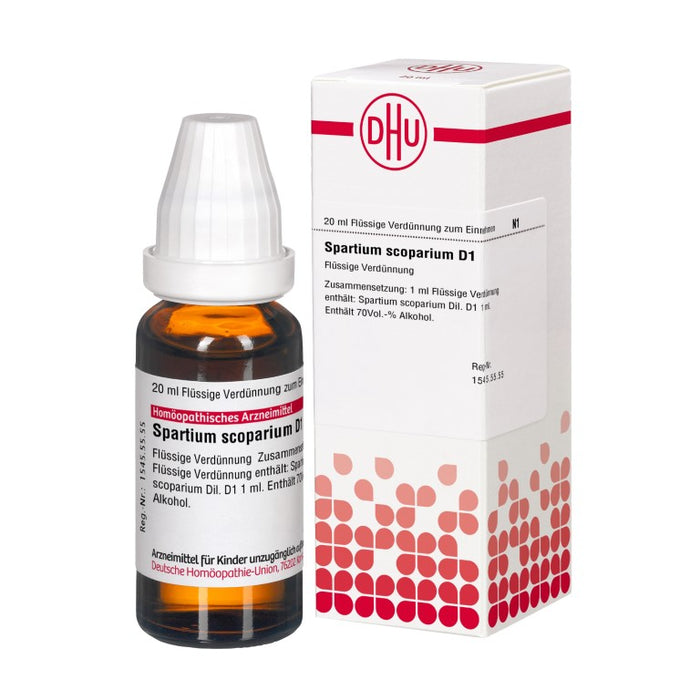 Spartium scoparium D1 DHU Dilution, 20 ml Lösung