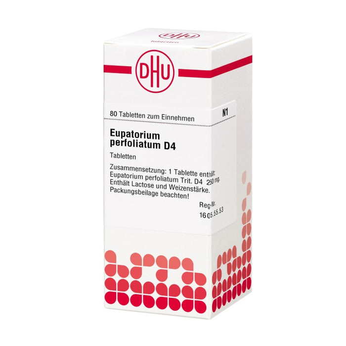 Eupatorium perfoliatum D4 DHU Tabletten, 80 St. Tabletten