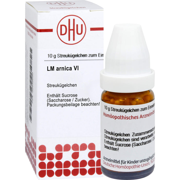 DHU Arnica LM VI Streukügelchen, 5 g Globuli