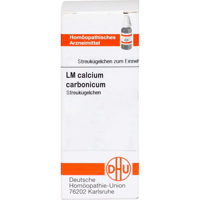 Calcium carbonicum Hahnemanni LM VI DHU Globuli, 5 g Globuli