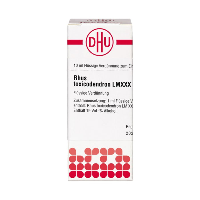 DHU Rhus toxicodendron LM XXX Dilution, 10 ml Lösung