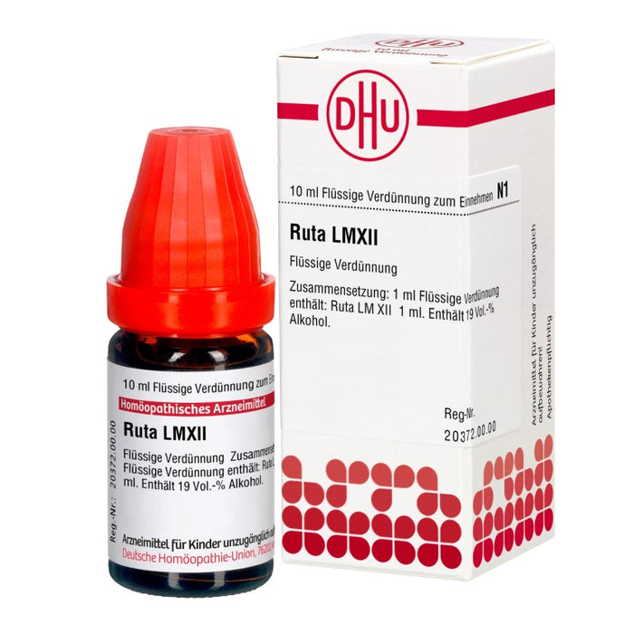 Ruta LM XII DHU Dilution, 10 ml Lösung