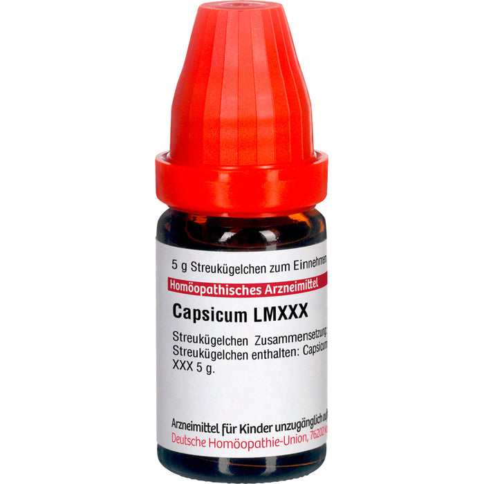 Capsicum LM XXX DHU Globuli, 5 g Globuli