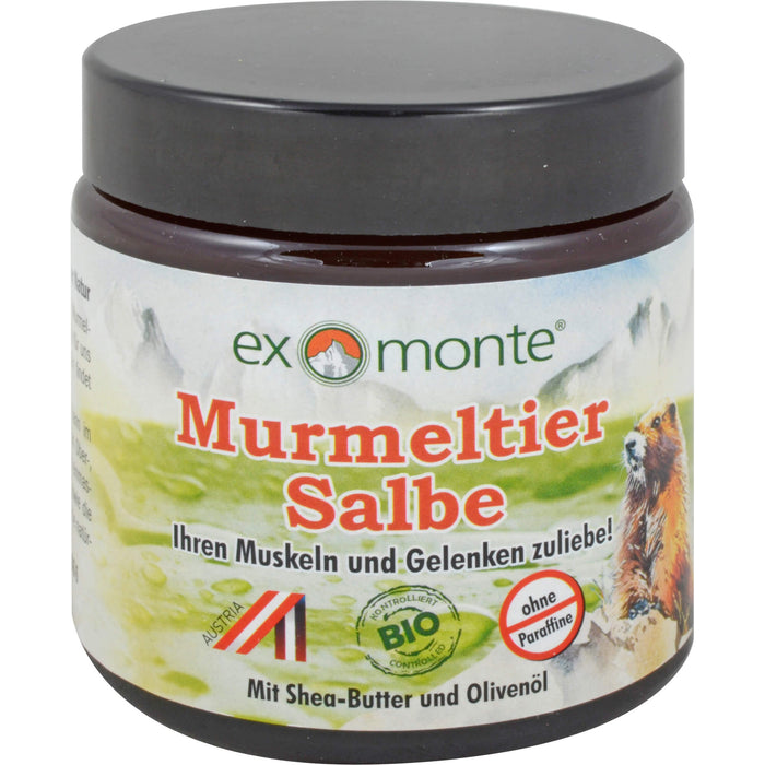 exmonte Murmeltiersalbe, 100 ml Onguent