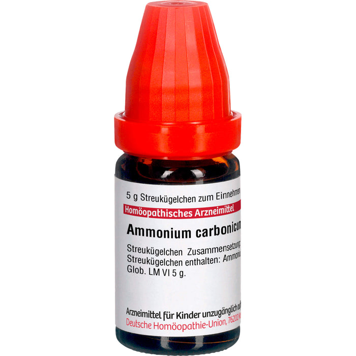 Ammonium carbonicum LM VI DHU Globuli, 5 g Globuli