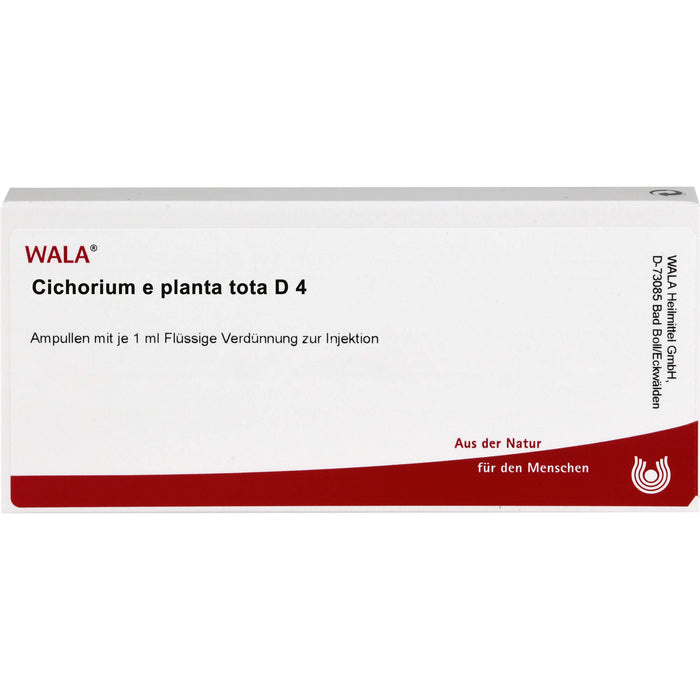 Cichorium e planta tota D4 Wala Ampullen, 10X1 ml AMP