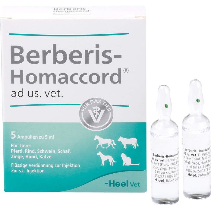 Berberis-Homaccord ad us. vet. Ampullen, 5 pcs. Ampoules