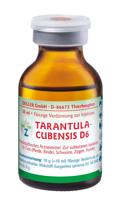 ZIEGLER Tarantula cubensis D 6 Dilution, 5 pc Bouteilles