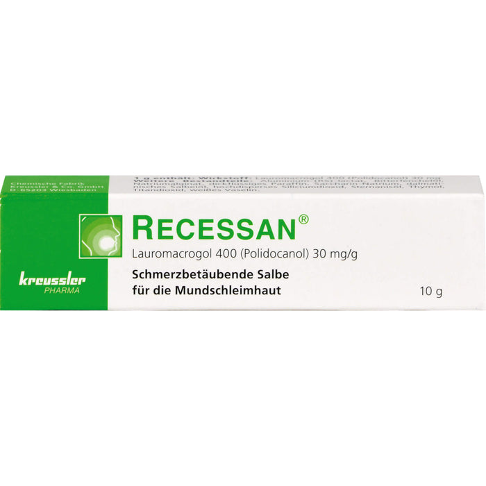 RECESSAN schmerzbetäubende Salbe, 10 g Onguent