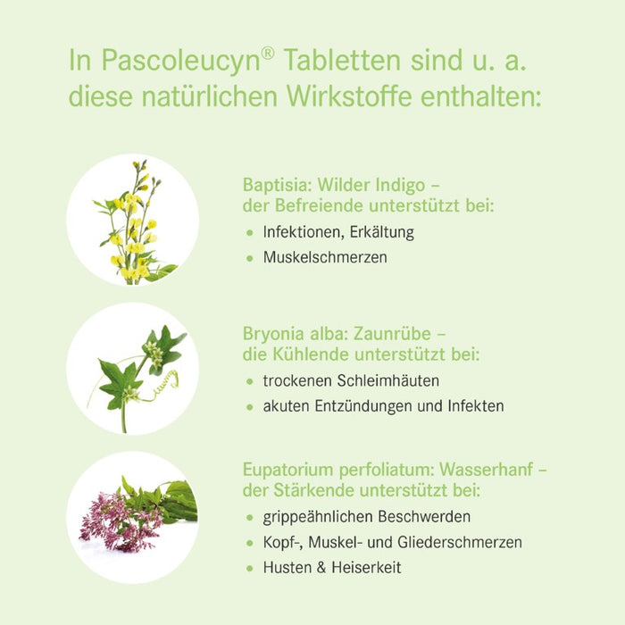 Pascoleucyn Tabletten, 100 St TAB