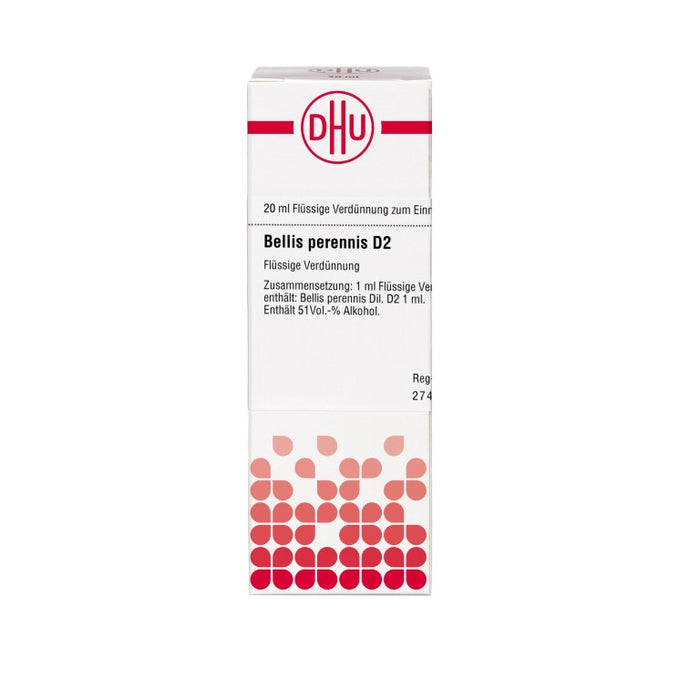 DHU Bellis perennis D2 Dilution, 20 ml Lösung