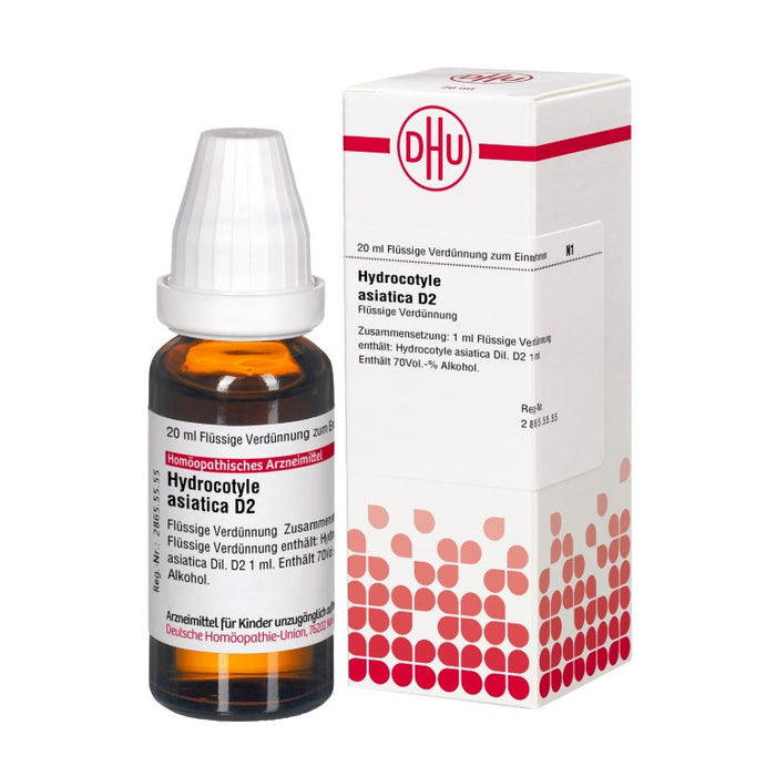 DHU Hydrocotyle asiatica D2 Dilution, 20 ml Lösung