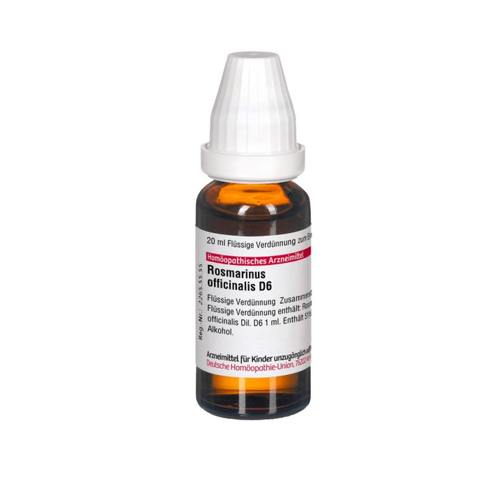 Rosmarinus officinalis D6 DHU Dilution, 20 ml Lösung