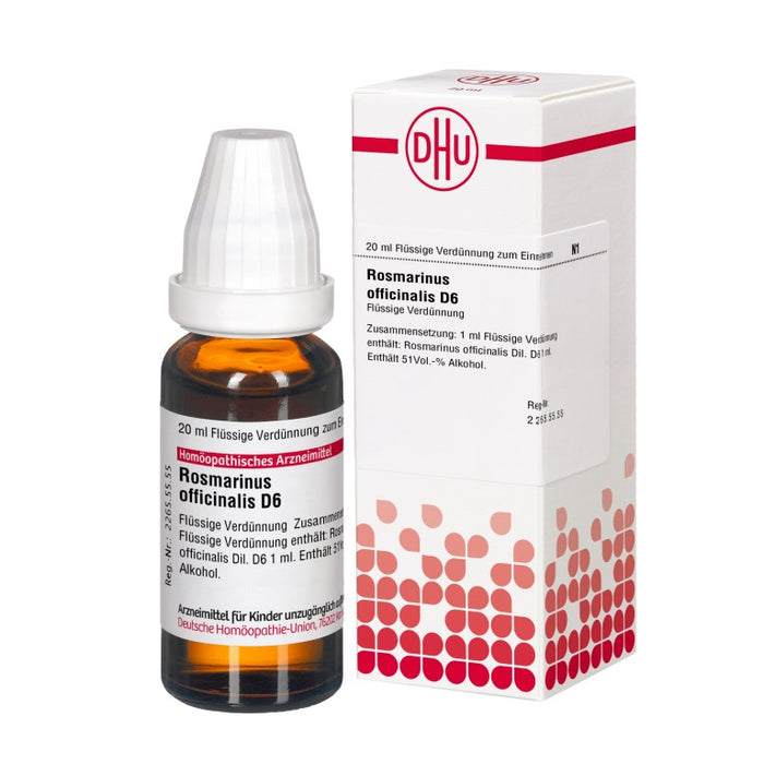 Rosmarinus officinalis D6 DHU Dilution, 20 ml Lösung