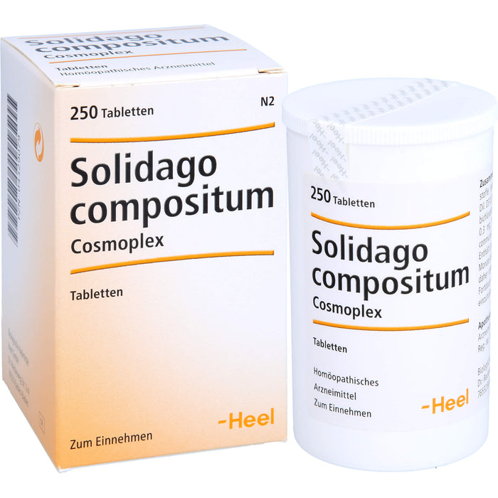 Solidago compositum Cosmoplex Tbl., 250 St TAB