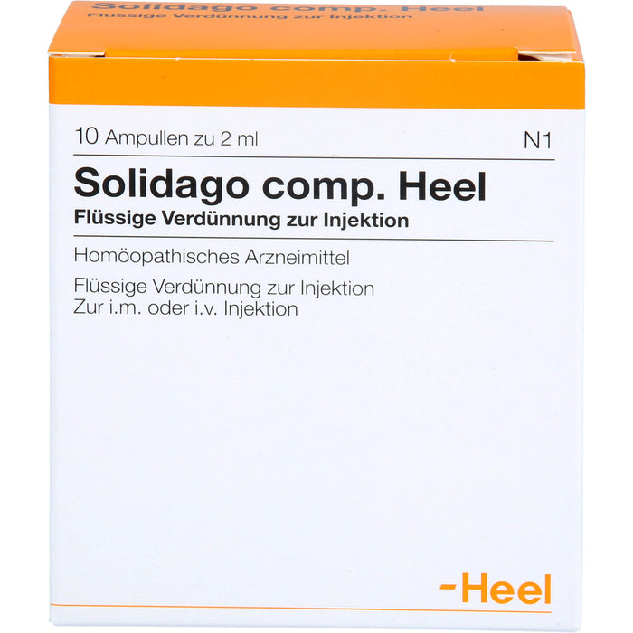 Solidago comp. Heel Ampullen, 10 St. Ampullen