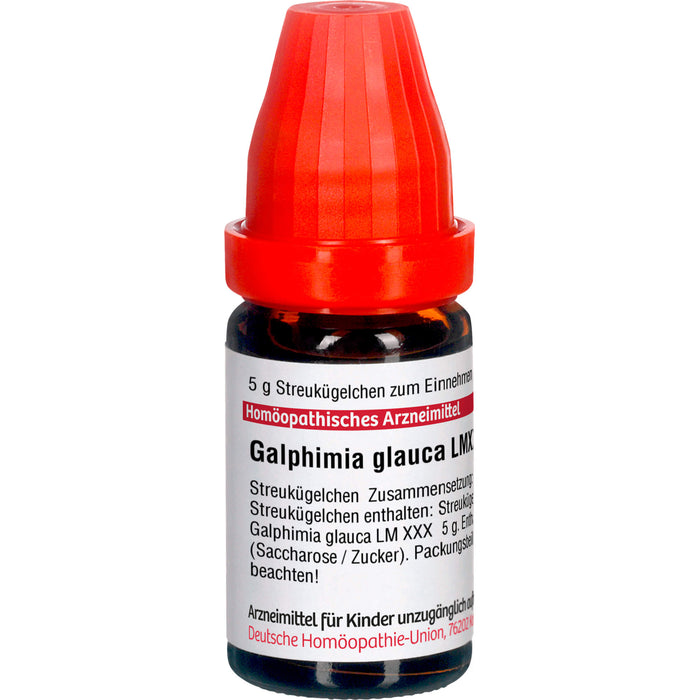 DHU Galphimia glauca LM XXX Streukügelchen, 5 g Globules