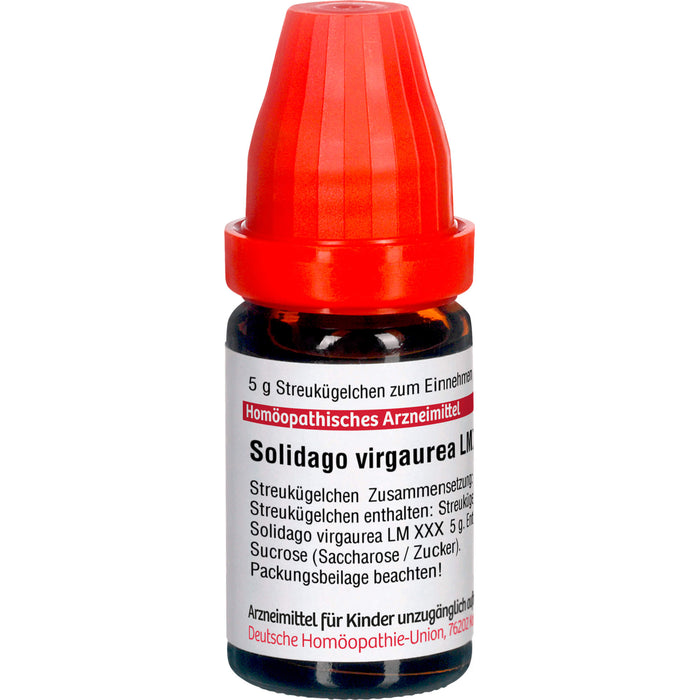 DHU Solidago virgaurea LM XXX Streukügelchen, 5 g Globules