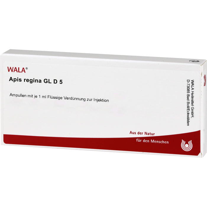 Apis regina Gl D5 Wala Ampullen, 10X1 ml AMP