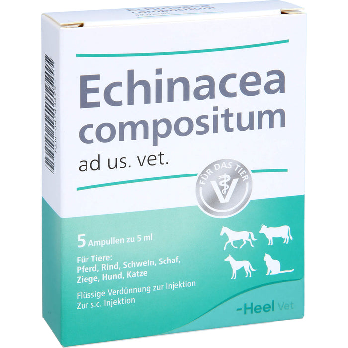 Heel Echinacea compositum ad us. vet. flüssige Verdünnung, 5 pcs. Ampoules