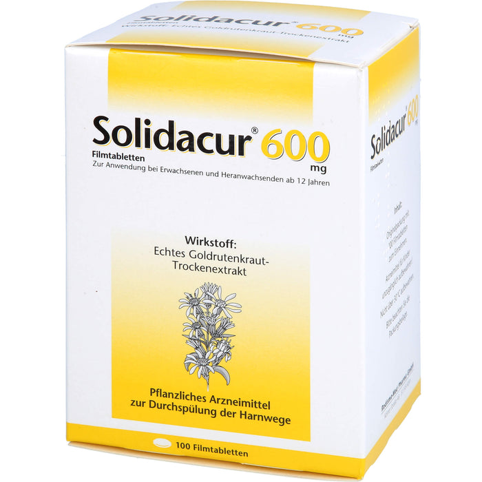 Solidacur 600 mg Filmtabletten, 100 St. Tabletten