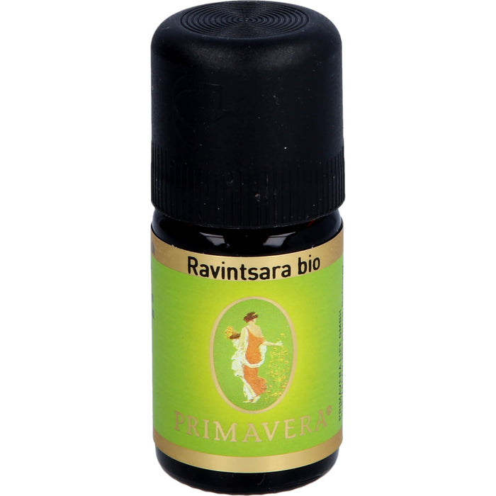 PRIMAVERA Ravintsara bio, 5 ml ätherisches Öl