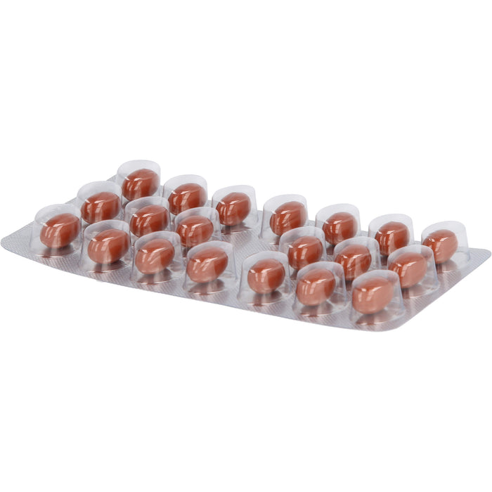 Twardy Propolis-Kapseln mit Blütenpollen, 100 pc Capsules