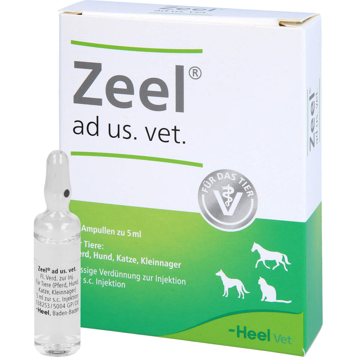 Zeel ad us. vet. Ampullen Flüssige Verdünnung zur Injektion, 5 ml Lösung