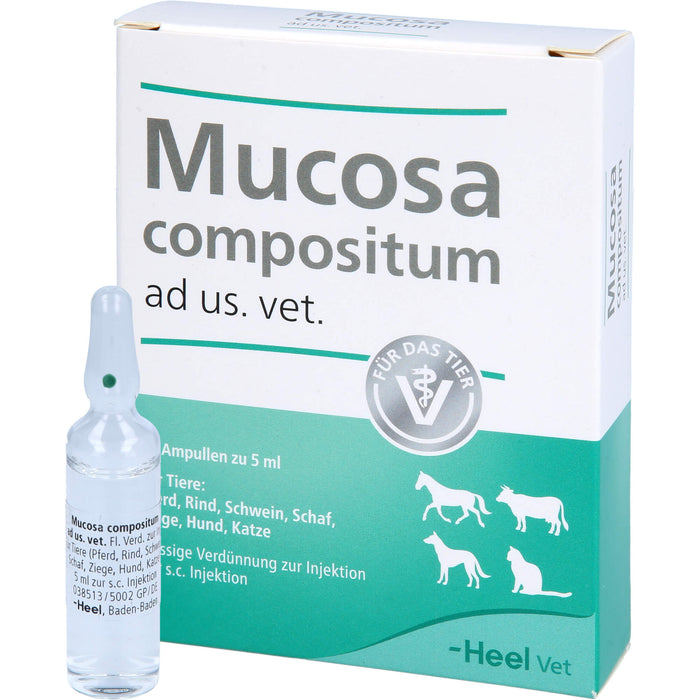 Heel Mucosa compositum ad us. vet. Ampullen, 5 pc Ampoules