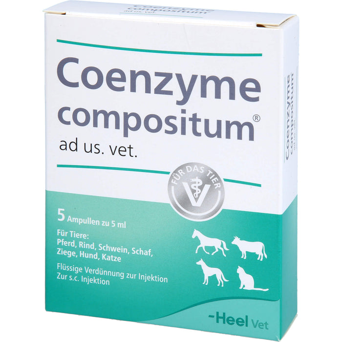 Heel Coenzyme compositum ad us. vet. Ampullen, 5 pcs. Ampoules