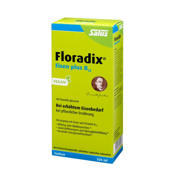 Floradix Eisen plus B12 vegan Tonikum bei erhöhtem Eisenbedarf, 250 ml Solution