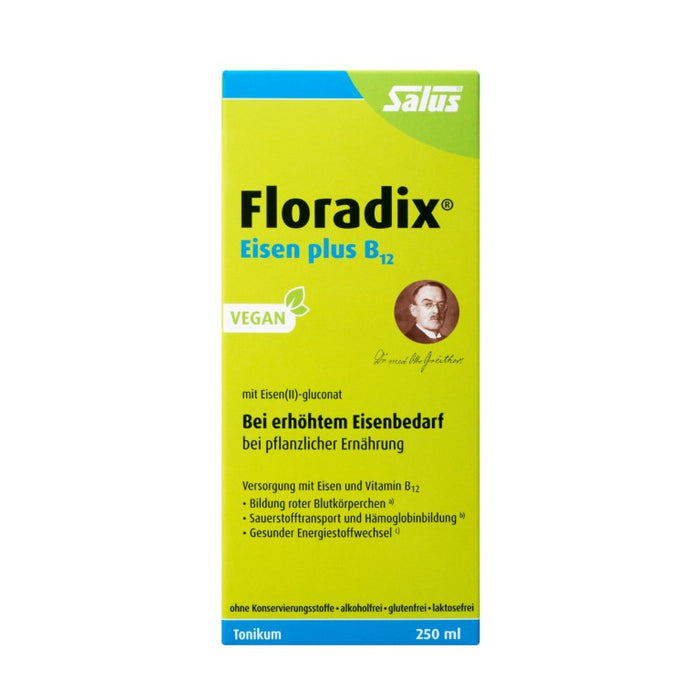 Floradix Eisen plus B12 vegan Tonikum bei erhöhtem Eisenbedarf, 250 ml Solution