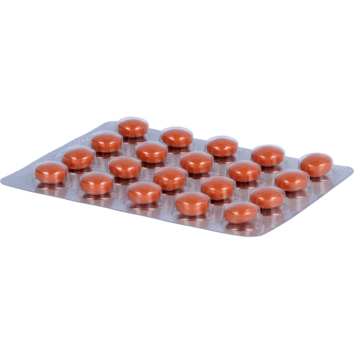 Aescuven Tabletten, 100 pc Tablettes