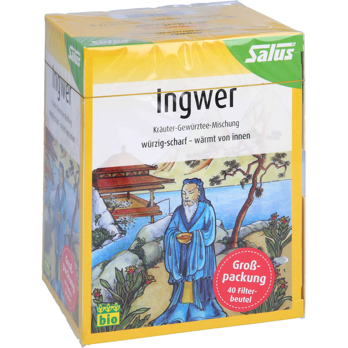 Ingwer Kräuter-Gewürztee-Mischung bio Salus, 40 St FBE