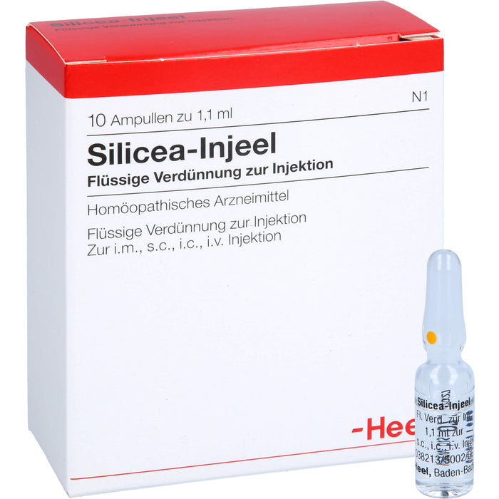 Heel Silicea-Injeel flüssige Verdünnung zur Injektion, 10 pc Ampoules