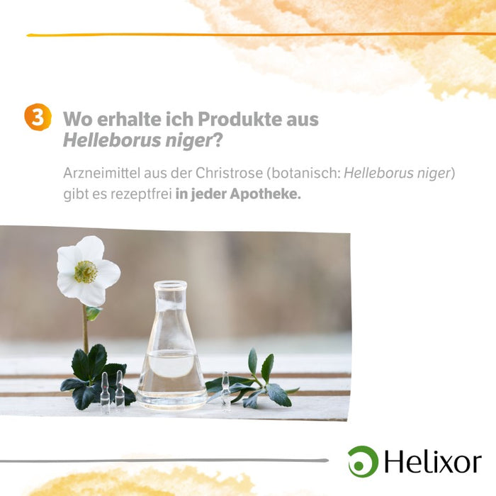 Helleborus niger D4 aquos., 8 pc Ampoules